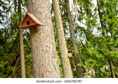 Tiny Home For Big Bird's