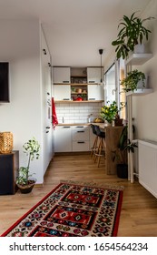 Tiny Home - Garsoniere - Livingroom, Bedroom And Kitchen After Reconstruction In Prague 