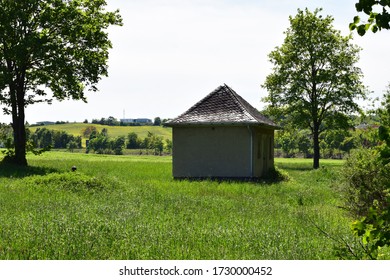 tiny house at the edge of the forest