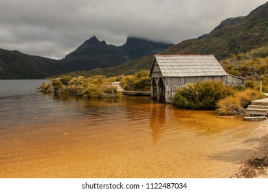 Tiny House On The Yellow Brown Lake Of The Cradle Mountain Region In Tasmania, Australia