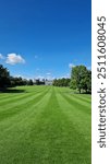 A Tiny Kilkenny Castle Amidst Green Grass: A Quaint and Picturesque Scene Featuring a Miniature Castle Nestled in the Lush, Verdant Landscape of Kilkenny’s Countryside