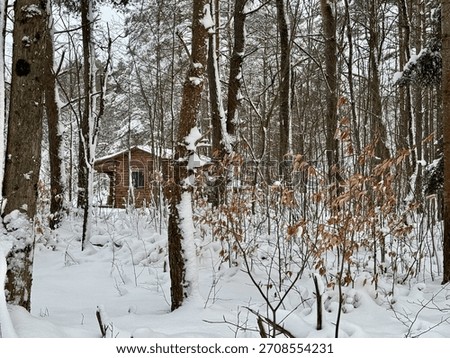 Tiny log cabin nestled amongst the trees in the woods on a cold, snowy winter day.
