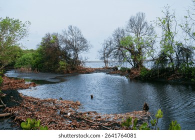 Tiny mangrove islets appear in the calm sea under a cloudy sky, offering a natural and peaceful coastal mood.