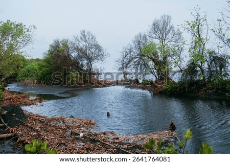 Tiny mangrove islets appear in the calm sea under a cloudy sky, offering a natural and peaceful coastal mood.