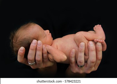 Tiny Newborn Premature Baby being held in father's hands