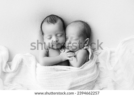 Tiny newborn twins boys in white cocoons on a white background. A newborn twin sleeps next to his brother. Newborn two twins boys hugging each other. Professional studio photography. Black and white