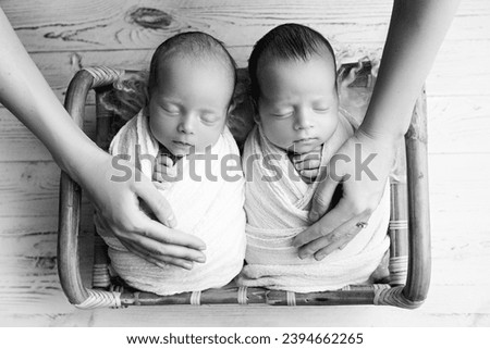 Tiny newborn twins boys in white cocoons in a wooden basket against a light wood background. A newborn twin boy sleeps next to his brother. Mother's hands, palms stroking the twins. Black and white.