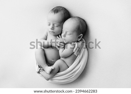 Tiny newborn twins boys in white cocoons on a white background. A newborn twin sleeps next to his brother. Newborn two twins boys hugging each other. Professional studio photography. Black and white