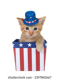 Tiny orange ginger tabby kitten sitting in a red white and blue patriotic box wearing hat looking directly at viewer with paw over side, isolated on white.