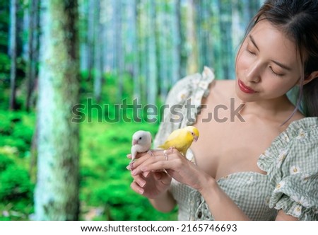 Tiny parrot yellow and white Forpus bird on woman hand.