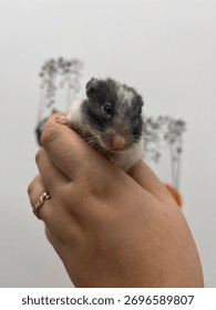 Tiny paws, endless cuteness overload