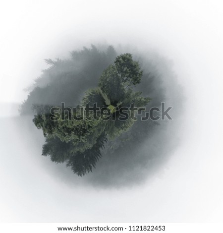 Similar – Image, Stock Photo in the fog Fog Clouds