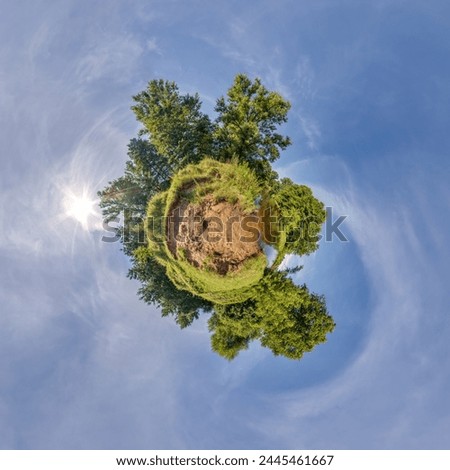 tiny planet transformation of spherical panorama 360 degrees. Spherical abstract aerial view with trees in forest with clumsy branches in blue sky. Curvature of space.