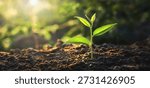tiny plant is sprouting from the ground, surrounded by lush green leaves
