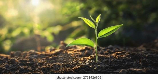 tiny plant is sprouting from the ground, surrounded by lush green leaves