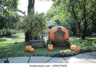 tiny pumpkin house in the garden