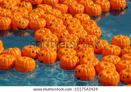Tiny pumpkins float in a child's pool, all marked on the bottom with a special number. Pick the right number, win a great prize!