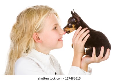 The Tiny Puppy Kisses The Girl On A Nose. Isolated On White Background