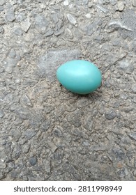A tiny robin blue bird egg lying on a rough concrete background.