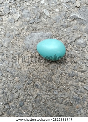 A tiny robin blue bird egg lying on a rough concrete background.