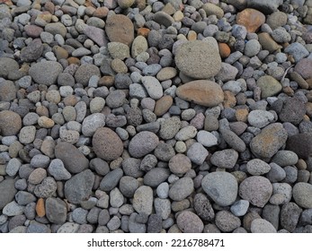 Tiny Rock On House Backyard 
