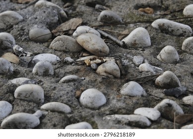 Tiny rocks on big rocks