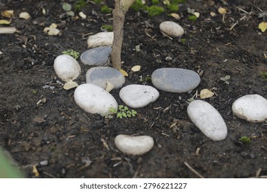 tiny rocks on top of soil