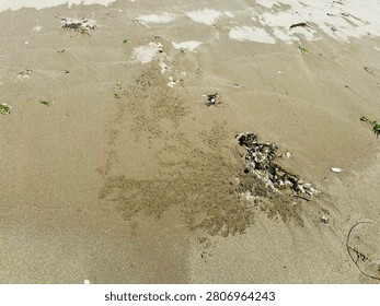 Tiny sand balls and burrows created by sand bubbler crabs on a sandy beach.