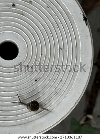a tiny snail crawls on the cover of a water valve