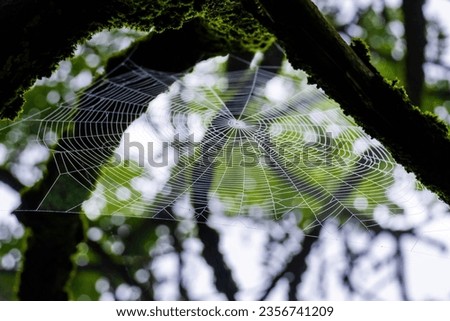 Similar – Irish river Natur