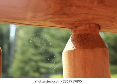 A tiny spider web on a railing