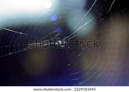 A tiny spider web photographed against the sun - visible blips and flares
