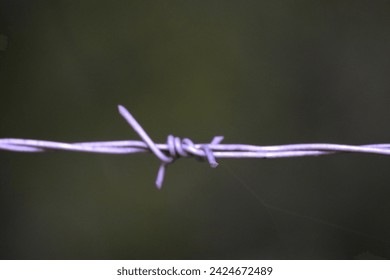 a tiny spider web surrounded a barbed wire.