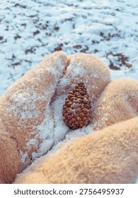 Tiny spruce cone resting in warm woollen gloves covered with snow