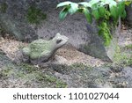 A tiny stone frog statue.