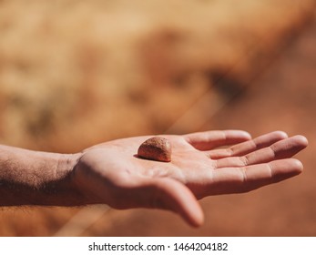 Tiny stone in one hand