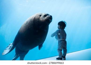 A tiny toddler boy stands in a side-view profile, watching in wonder as a massive sea lion swims underwater inside a giant blue aquarium. The little child in a grey sweater and jeans stays close to the clean glass window, creating a magical moment of interaction with the marine mammal.