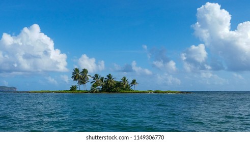 Tiny Tropical Island With Coconut Palm Trees