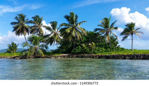 Tiny Tropical Island With Coconut Palm Trees