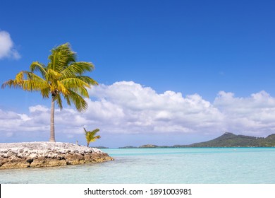 Tiny Tropical Island Surrounded By Clear Blue Turquoise Ocean 