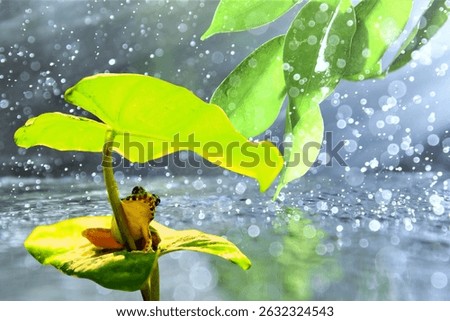 Tiny vibrant frog shelters under leaf umbrella in rain shower. Macro wildlife, amphibian in nature, bokeh water drops, enchanting green foliage, cute animal protection, magical rainy day scene, fresh 
