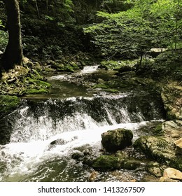 Tiny Waterfall in the Forest