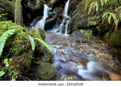 Tiny Waterfall in the Forest