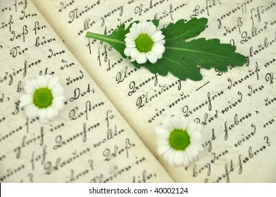 Tiny white daisies on an old handwritten book