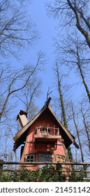 Tiny wooden hobbit house. The roof of the hobbit house reaching to the sky.