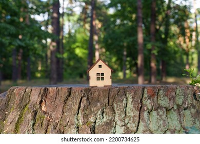 Tiny Wooden House Placed On A Large Tree Stump In The Forest