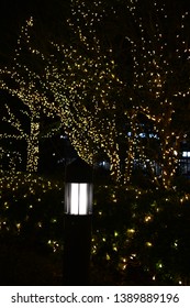 Tiny Yellow Color LED Lights And A Road White Lamp At Night