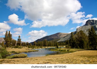 Tioga Pass Yosemite National Park