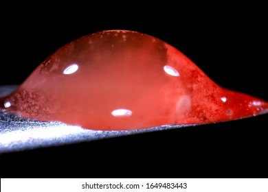 Tip Of A Syringe Needle With Blood. Medical Syringe.