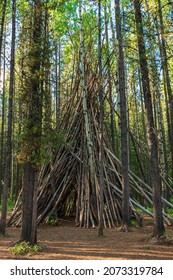 Tipi In Kananaskis Forest Alberta Canada